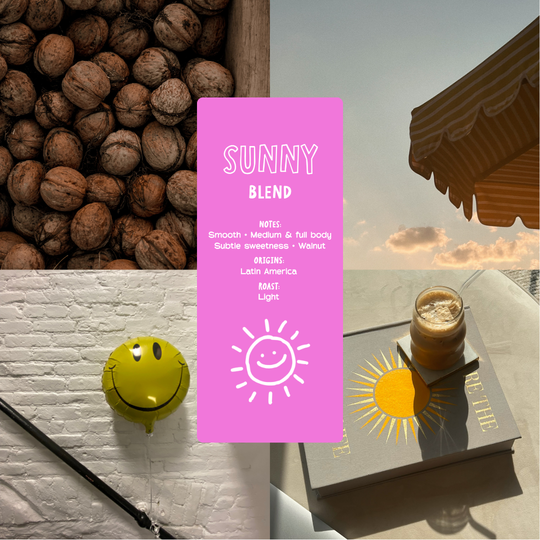 Sunny Blend - 2 Bag Bundle